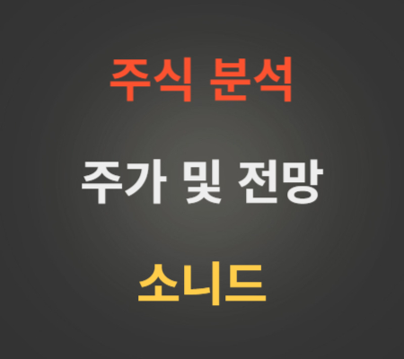 소니드_주가_및_전망_분석