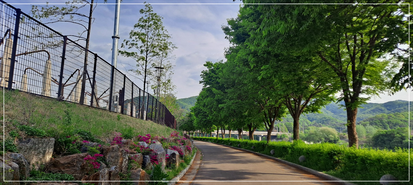산책로