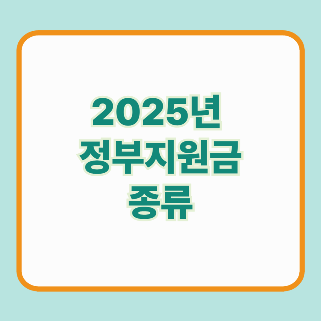 2025년 정부 지원금 종류 총정리/복지로 기준 최신 복지 혜택