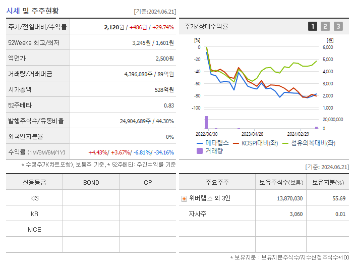 메타랩스_기업개요