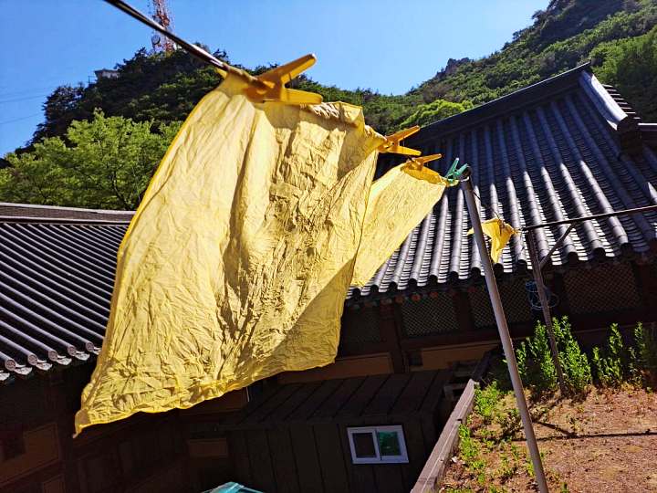 고두심이 좋아서 박상면 게스트 나를 찾아 떠나는 여행 템플스테이 추천 과천 관악산 가볼만한 곳 위치 어디