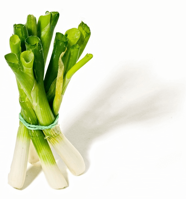 파 한 묶음이 놓여 있다