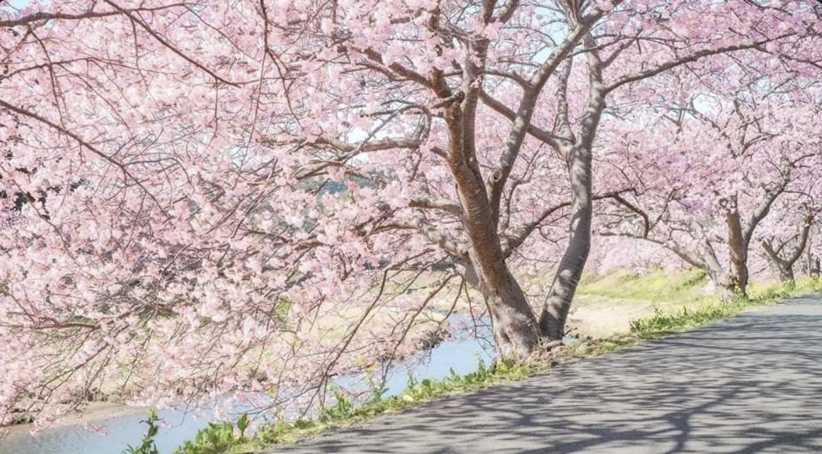 화담숲 예약 관련 이미지