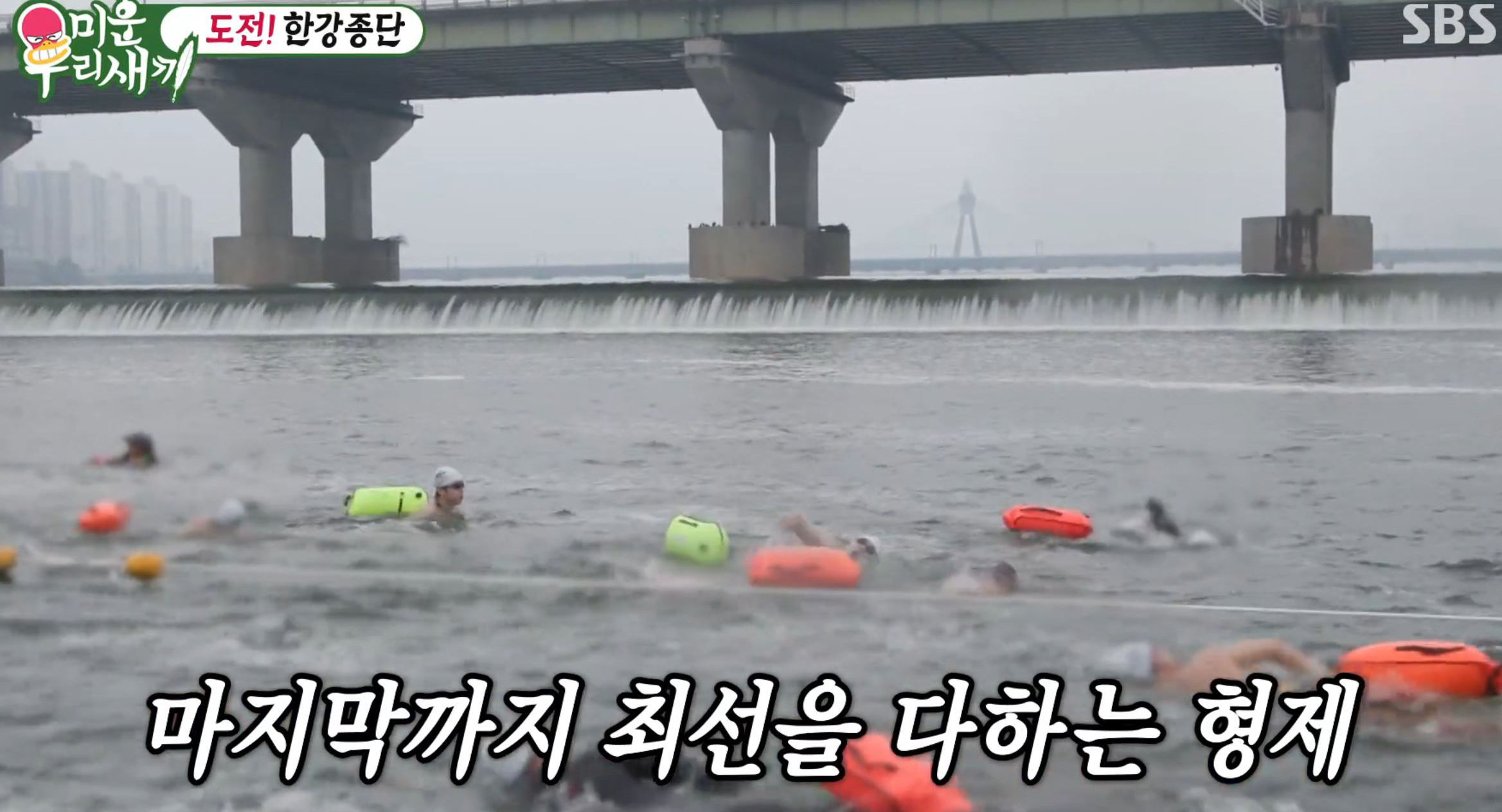 미우새 한강 수영 챌린지 참여4