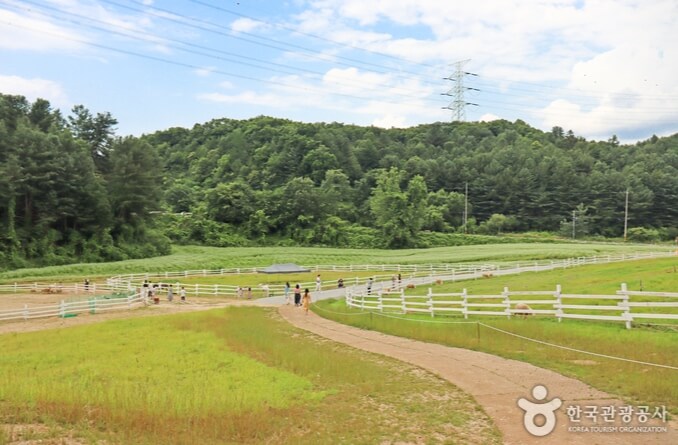 가평 가볼만한곳 베스트 10