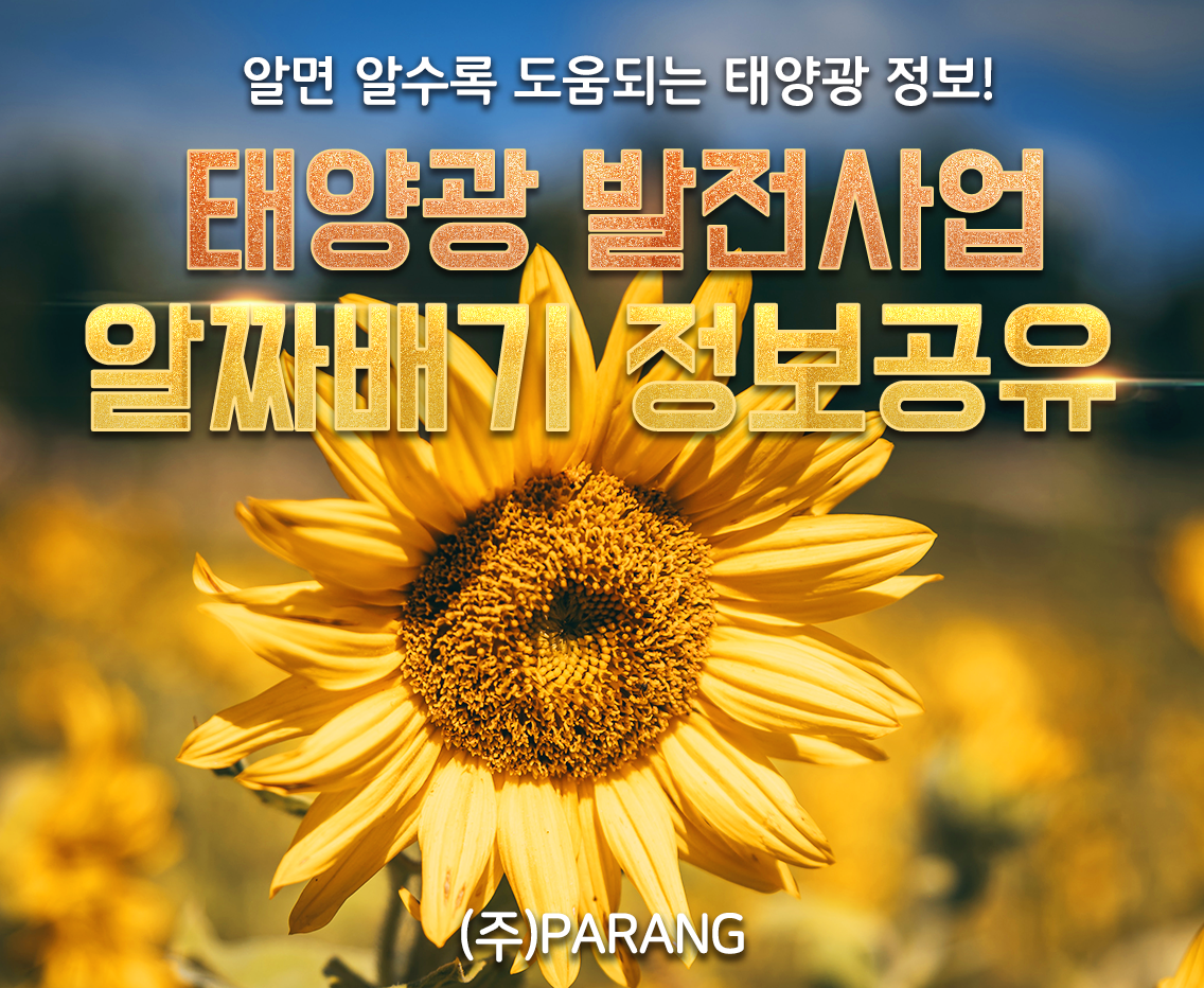 알짜배기 정보공유