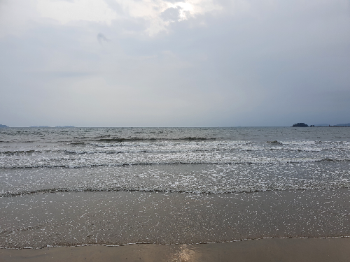 몽산포해수욕장 몽산포캠핑