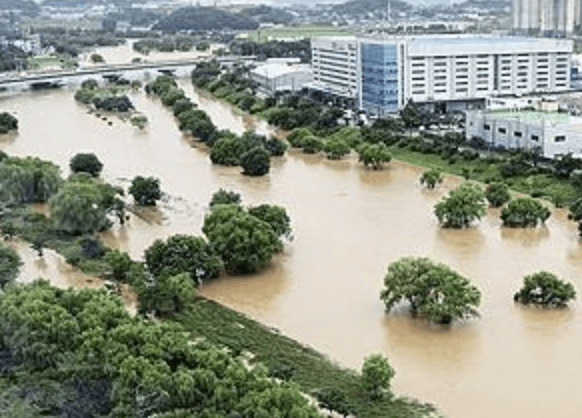 호우 피해 특별교부세