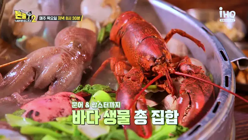 돈쭐내러왔습니다2 거대 가리비, 문어, 랍스터 대물 조개전골, 치즈 등갈비, 철판 오리훈제 안양 인덕원 맛집 이영자 아이키, 스우파 훅 HOOK 방송 소개