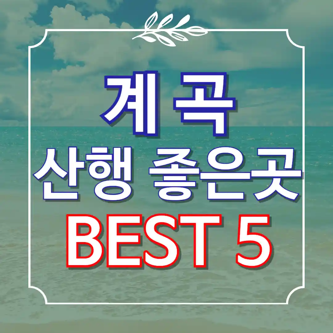 계곡 산행 좋은곳