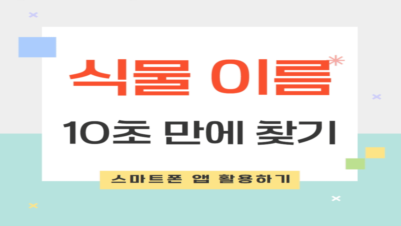 식물 이름 쉽게 찾기: 10초 만에 해결하는 스마트한 방법