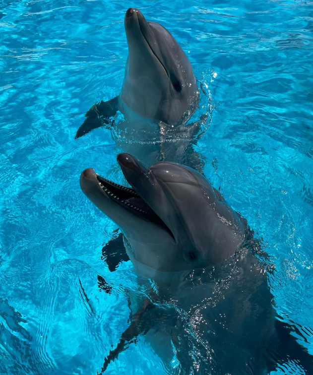 마린월드 우미노나카미치 03