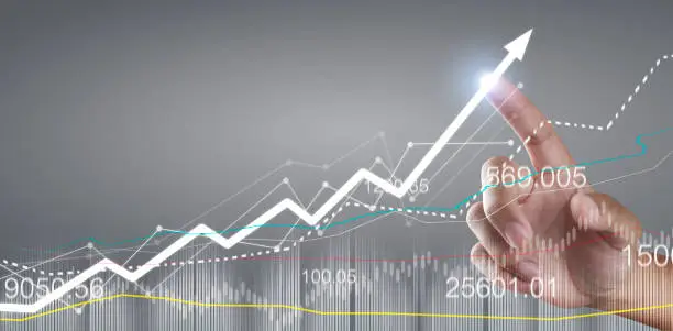 너보스 코인 호재 전망