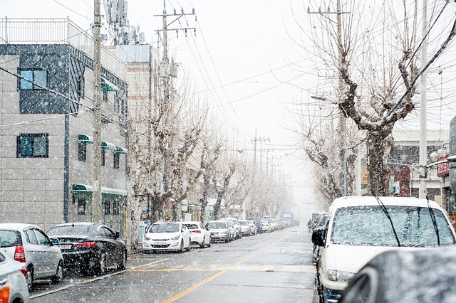 ❄️ 2025년 대전 첫눈 언제? 11월 25일 최신 대전 첫눈 예보와 ai가 예측한 올해 예상 시기 ❄️