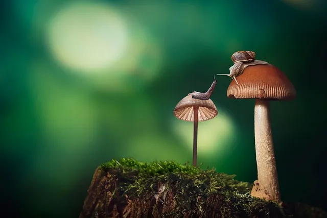 관종 뜻과 상황별 해석 모음집_2