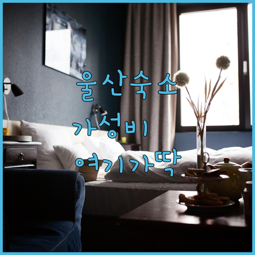 울산 여행 숙소 고민 해결 시내 중심..