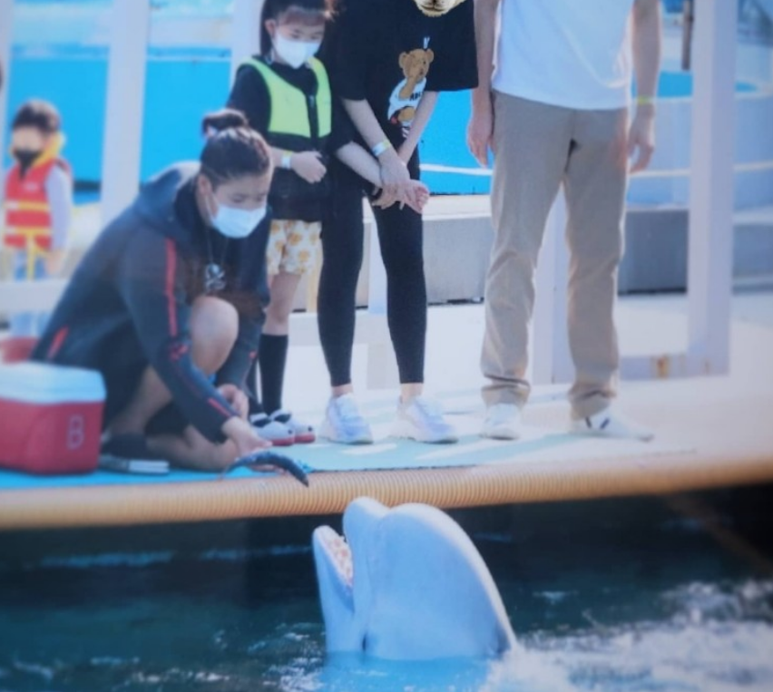 '벨루가 클래스' 체험