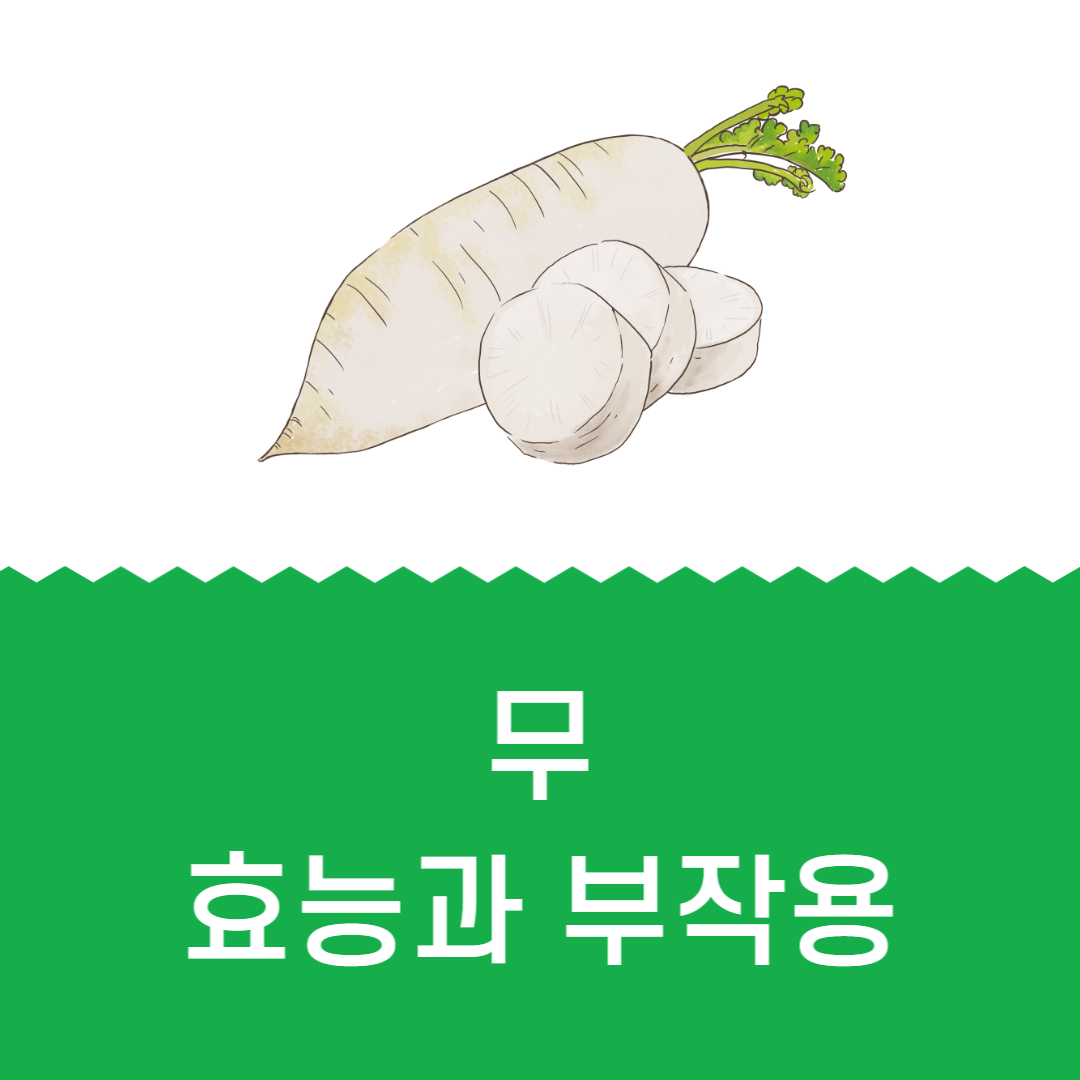 무 효능 부작용 알아보기