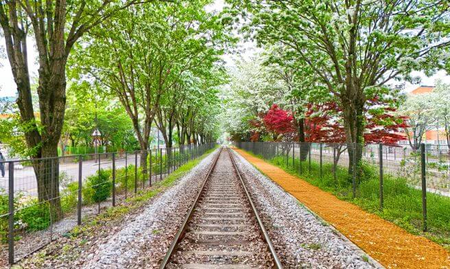 전주 팔복동 이팝나무 철길 주차 명소 시기 위치 소요시간