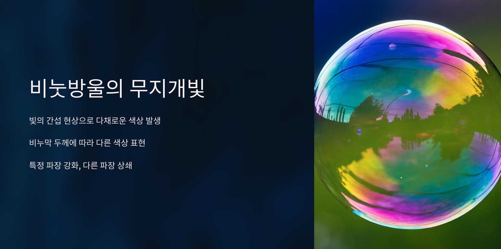 비눗방울의 무지개빛