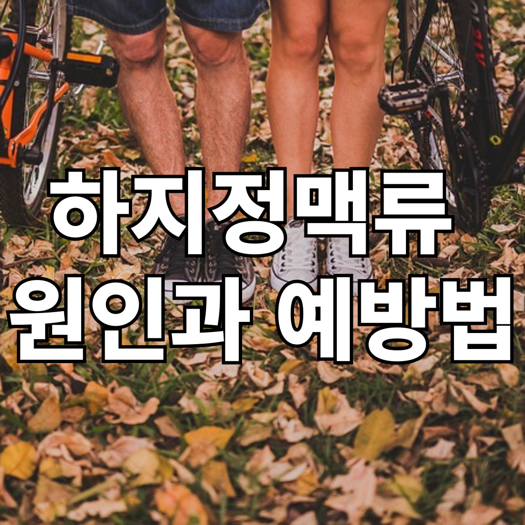 하지정맥류, 원인과 예방법