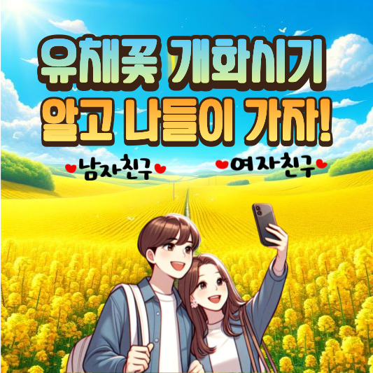 유채꽃 개화시기