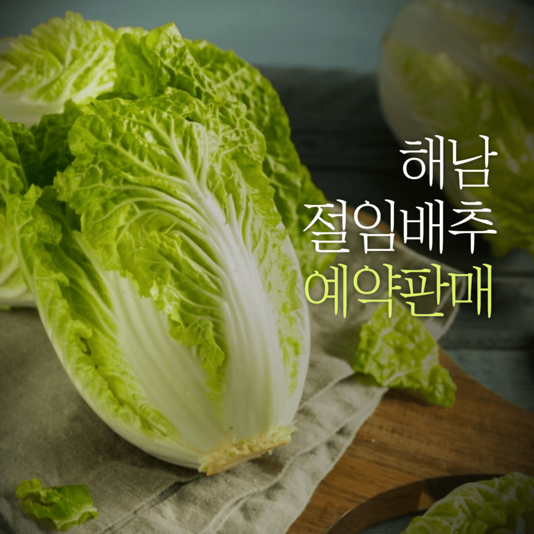 해남절임배추예약하기