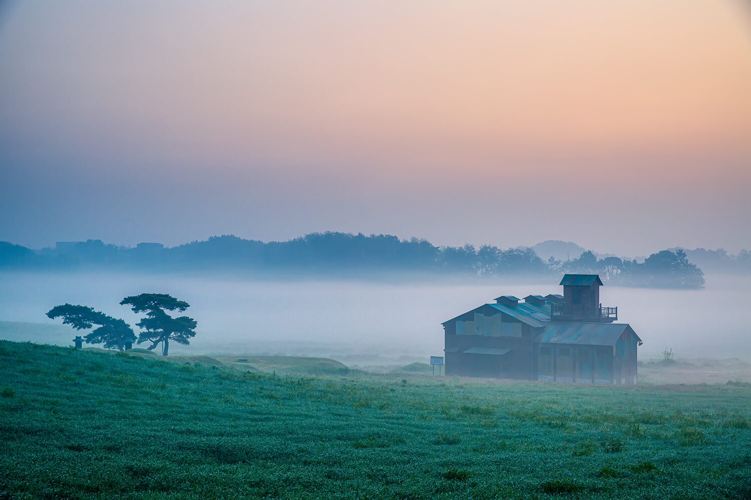 안성목장 물안개