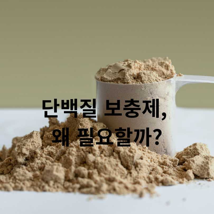 운동하는 당뇨환자 단백질 보충제 섭취 시 꼭 알아야 할 점