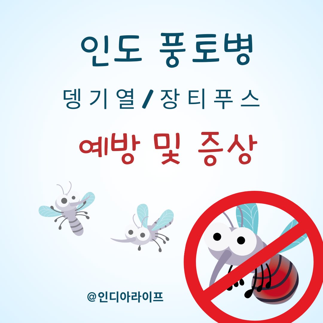 인도에서 풍토병(뎅기열&middot;장티푸스 등) 예방 및 증상별 대처법 &ndash; 주재원 경험자의 현실적인 건강 가이드