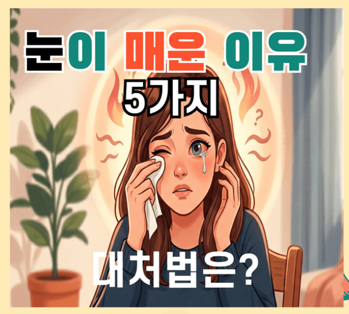 눈이 매운 이유