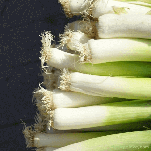 만성피로에 효과적인 대파