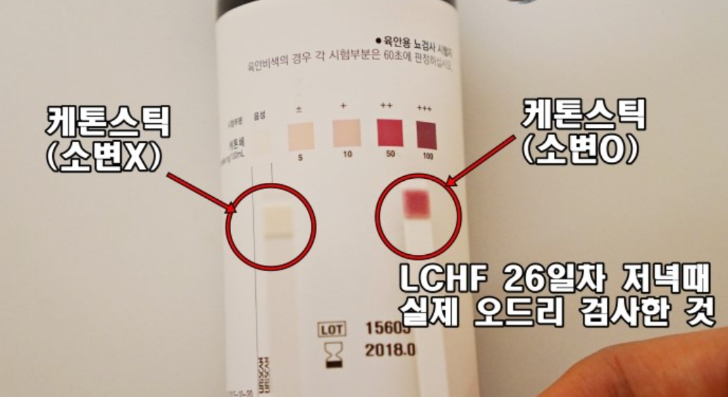 케톤스틱 확인 방법