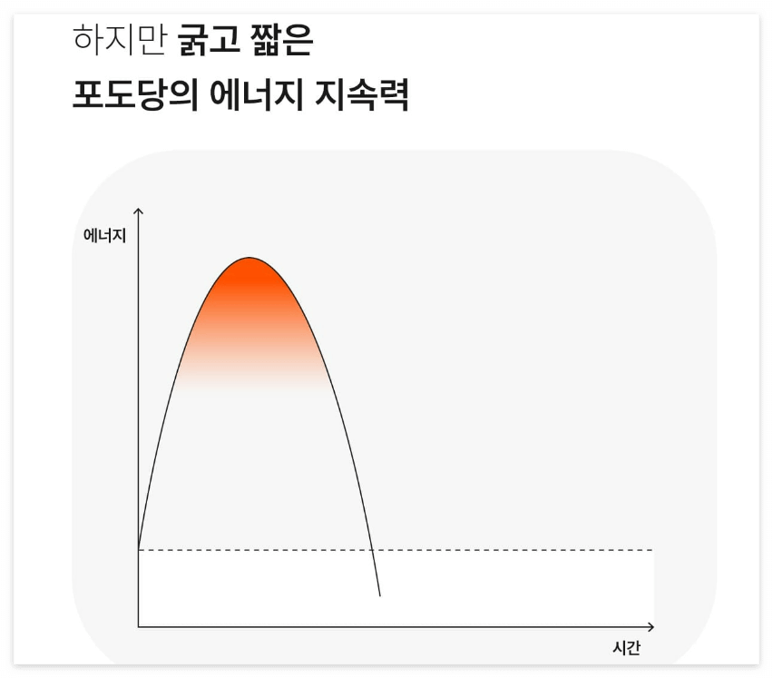 포도당 에너지