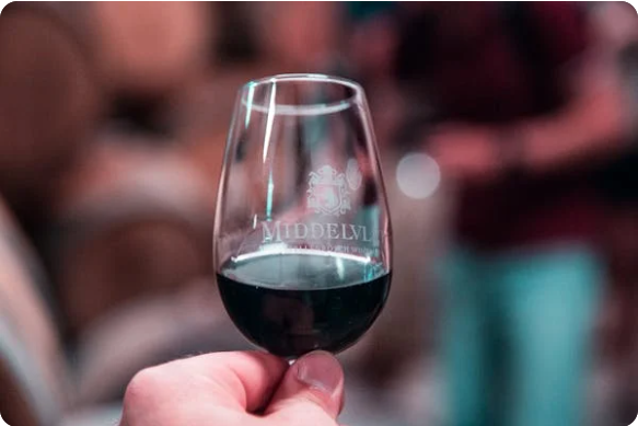 비싼 와인과 저렴한 와인의 차이