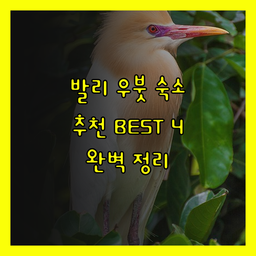 발리 우붓 숙소 추천 베스트 4곳 완