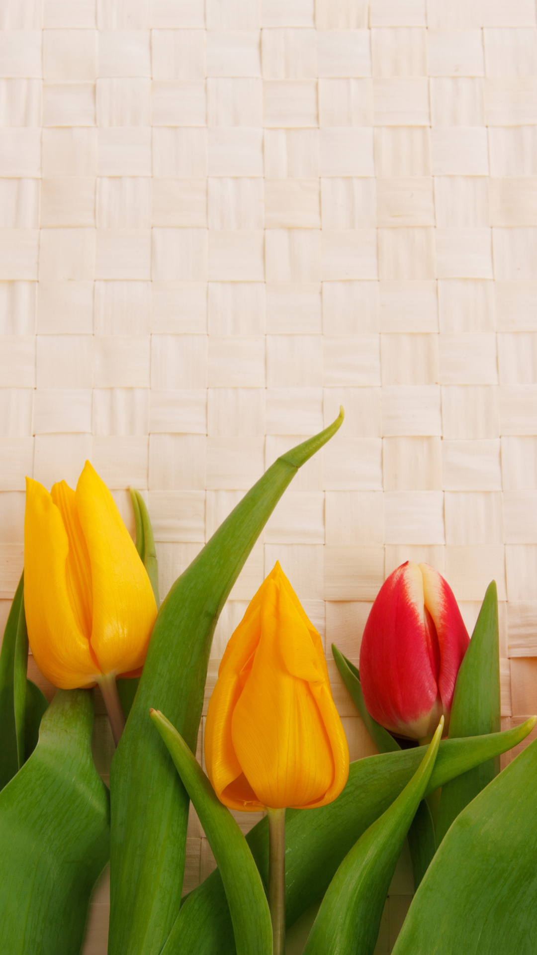 꽃 배경화면 사진 고화질 이미지 스마트폰