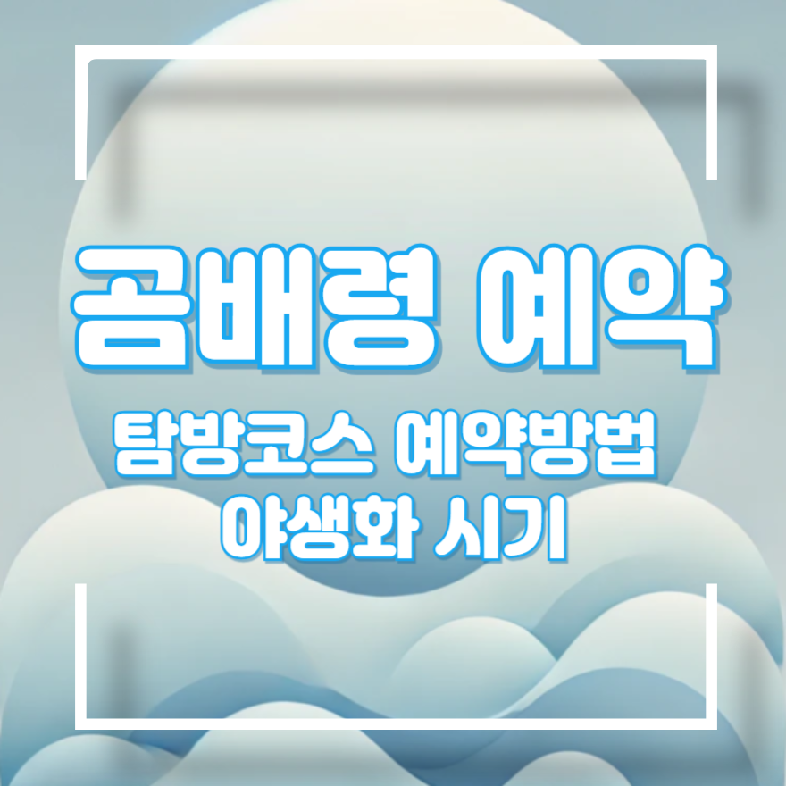 곰배령 예약