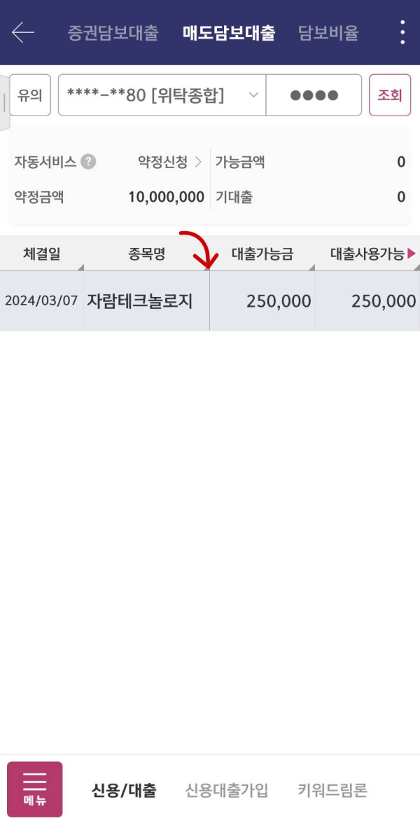 매도대금담보대출 종목