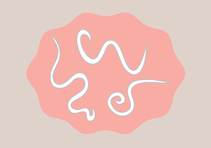 기생충-감염-모습