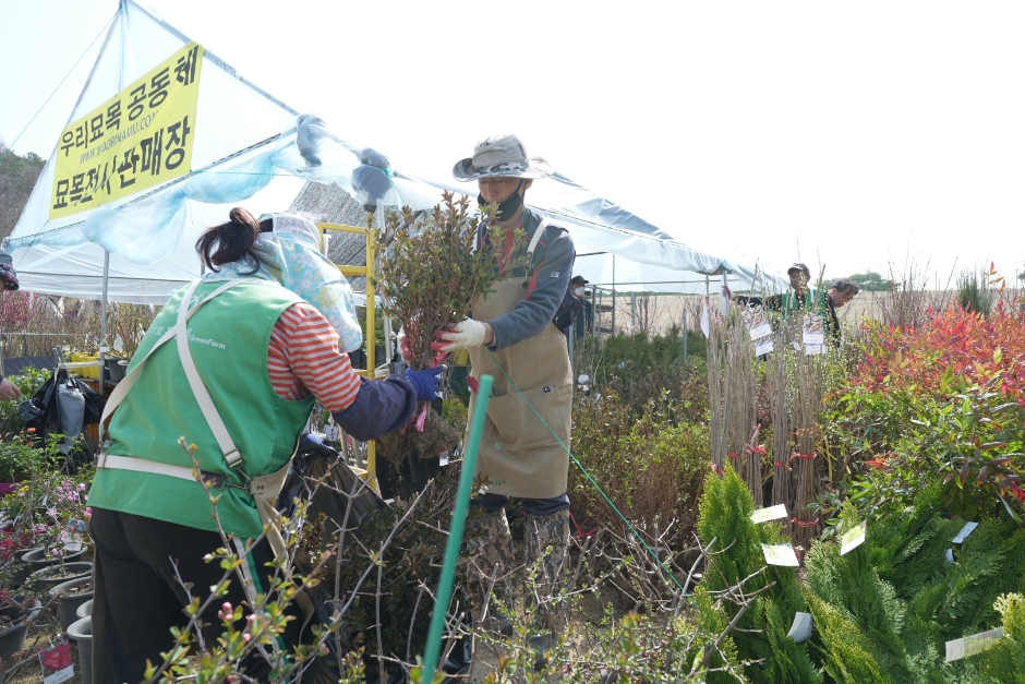 2024년 제 22회 옥천묘목축제 기본일정 및 프로그램 소개(민수현 안성훈 최은혜 김태웅 과일나무 출연) feat 과일나무 2만 그루 무료 나눔