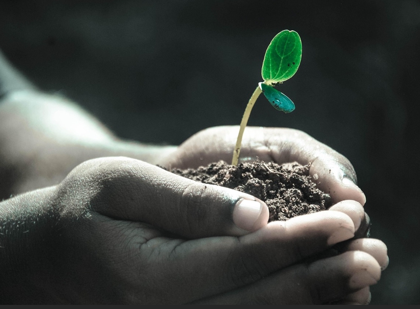 자립: 다시 시작하는 나만의 삶