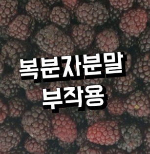 복분자분말-가격-부작용