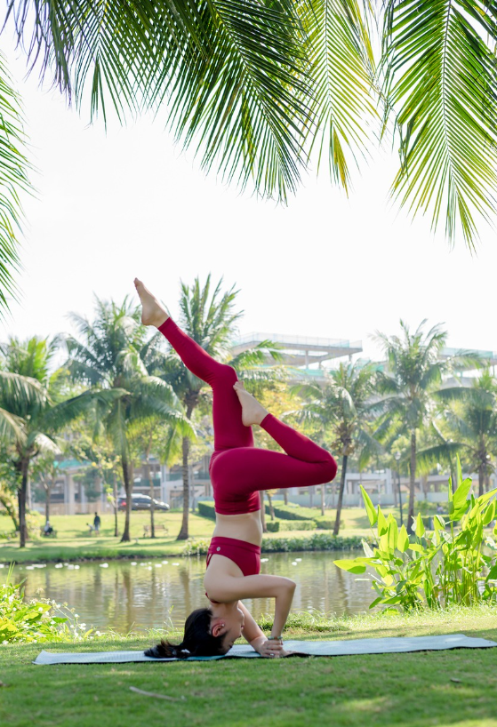 도시 속 작은 정원 만들기: 발코니와 창가에서 찾은 힐링