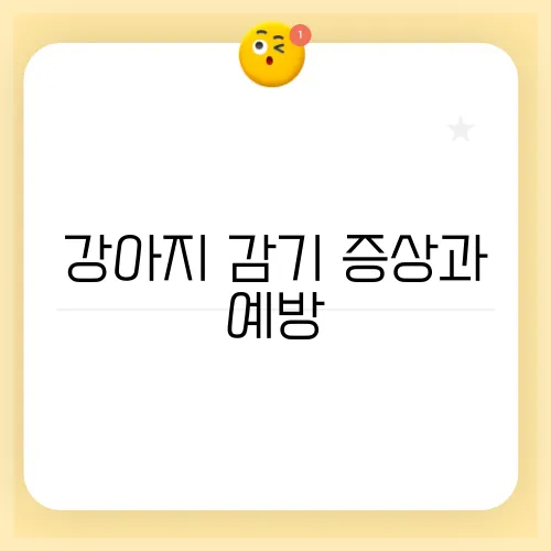 강아지 감기 증상과 예방, 효과적인 치료법 알아보세요