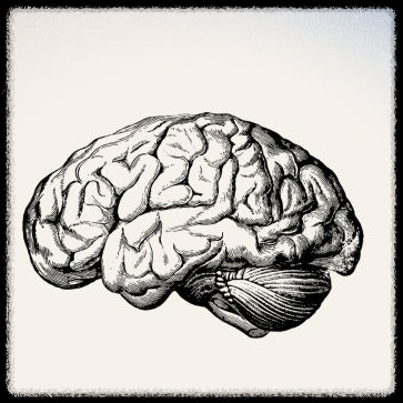 겨울 온도차가 뇌동맥류를 키운다