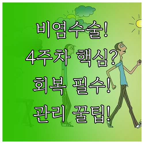 비염 수술 후 4주차까지 핵심 회복 ..