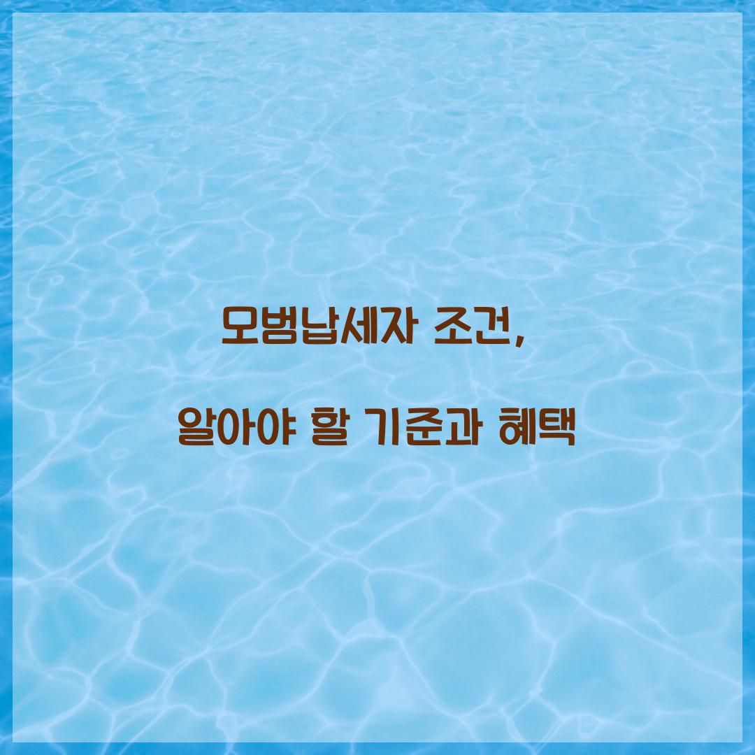 모범납세자 조건
