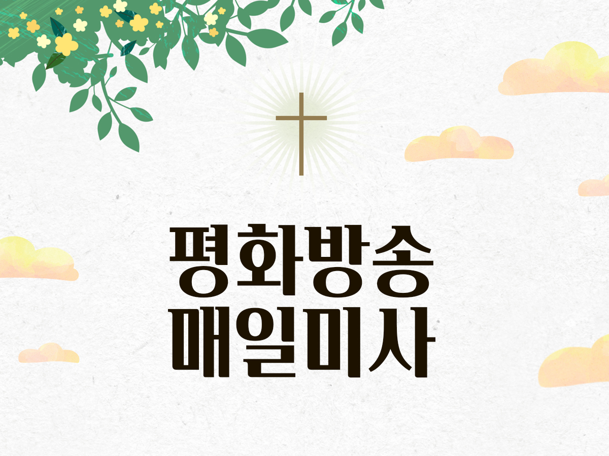 평화방송 매일미사 실시간 시청