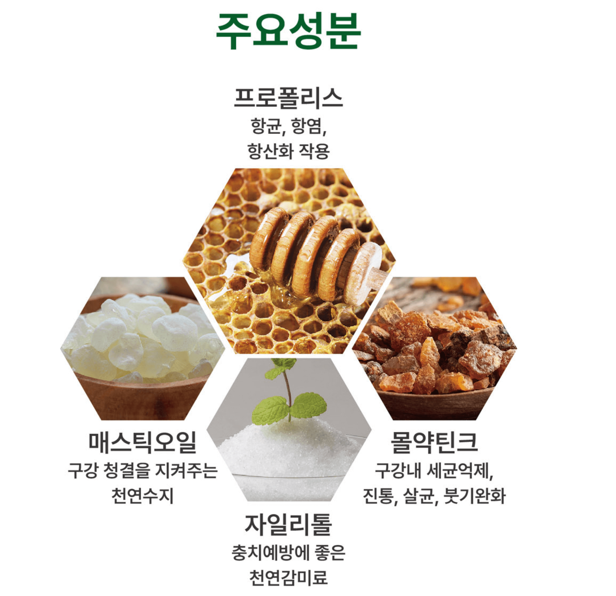주요성분